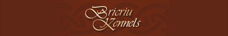 Bricriu Kennels